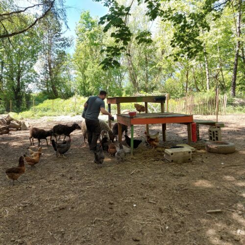 20210530_135947 20210530_135947